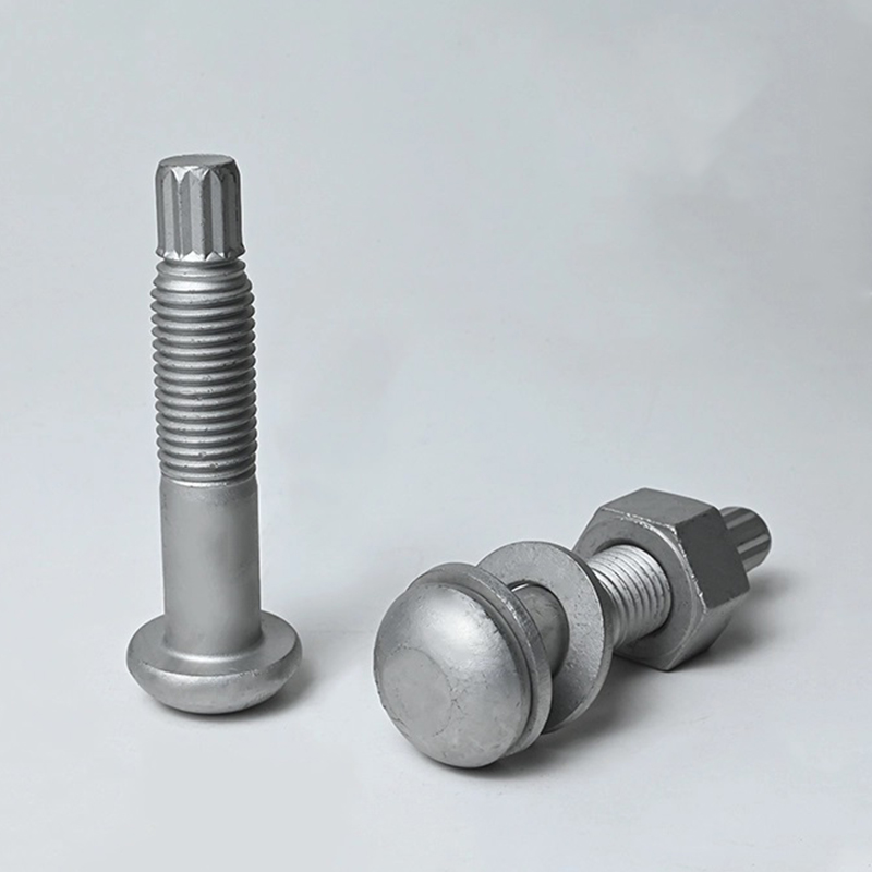 ASTM F2280 A490 Torque breekbout thermisch verzinkt ASTM F2280 A490 Torque breekbout thermisch verzinkt